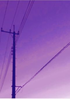 クソ猫メインの歌詞ドッキリ。