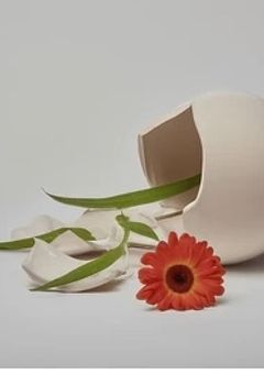 欲しかったのはね