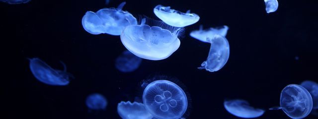 北銀すぴか いきなりごめん活休します。小説告知無くてごめんさんの壁紙画像