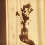 北銀すぴか いきなりごめん活休します。小説告知無くてごめんさんのアイコン画像