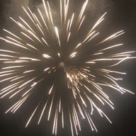 こっこん🐤さんのアイコン画像