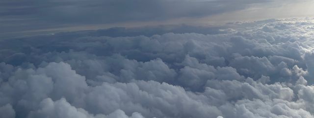 くっきーさんの壁紙画像