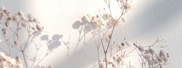 Chloeさんの壁紙画像