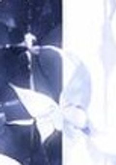 憧れの人が好きになってしまいました…
