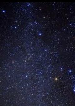 ムーンライトシリーズ