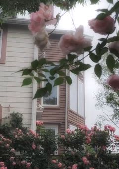 禁断の恋