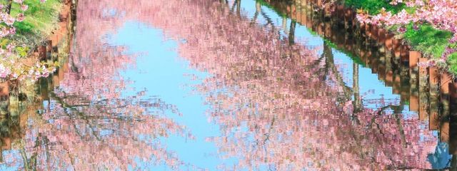 叶のサブ垢　2さんの壁紙画像