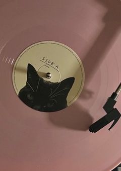      新世界のお姫さま