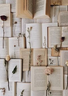 親友と一緒に小説の中に!?