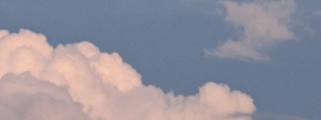 ﾌｳｾﾝｳｻｷﾞ🐰さんの壁紙画像