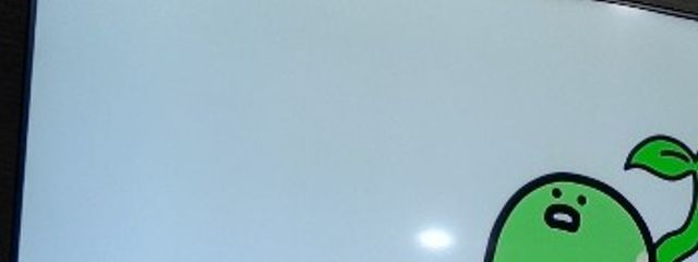 兎和(՞ ܸ. .ܸ՞)さんの壁紙画像