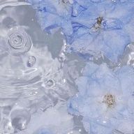 kinaさんのアイコン画像