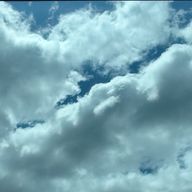 Ｍ　さんのアイコン画像