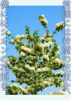 君達には希望の花束を、僕にはシオンの花瓶を。