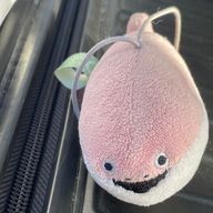 なつきメキシコさんのアイコン画像