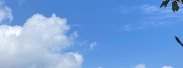 :さんの壁紙画像