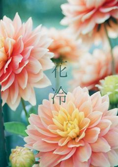 花冷