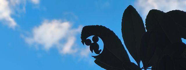 梨家さんの壁紙画像