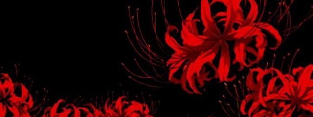 ぽーかーふぇーす🎭🇯🇵@非常に多忙😢さんの壁紙画像