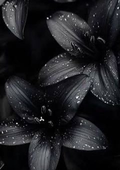 青い鬼の警察さんはあちらの世界から