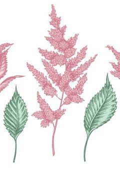 自由になれた赤い兎