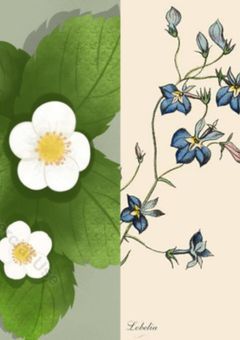 ヒーロー社会での望むもの