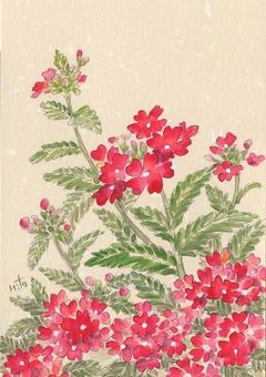 ブルーローズを追って夢の叶う街