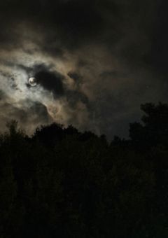 愛しき神々の1人へ