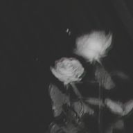   　     장미       さんのアイコン画像