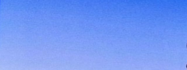 ゆいෆ‪‪⸝⸝꙳さんの壁紙画像