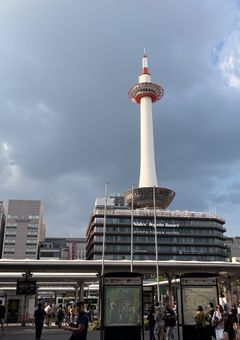 先生こいつです