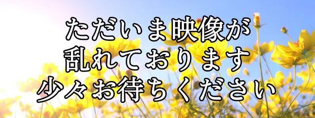 はろさんの壁紙画像