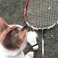 Saori💍𓂃𓈒𓏸︎︎︎︎ 🦈さんのアイコン画像