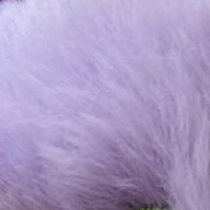 ☂️🐾さんのアイコン画像