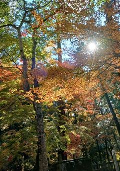 ゆびきりげんまん。