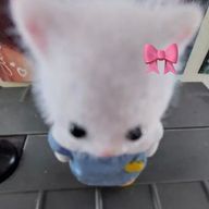 z²さんのアイコン画像