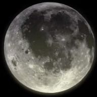 ゆら。さんのアイコン画像