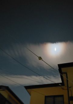 どうでも良い主の暇潰し部屋