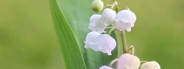 YUKI⛄️さんの壁紙画像