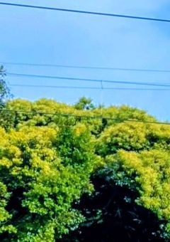 目覚めなかった少女   ついに目覚めました。