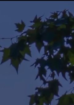 「僕のヒーローアカデミア」