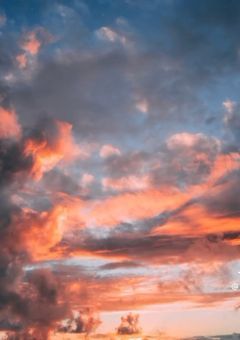 最強なあいつ、実は桃機関！？