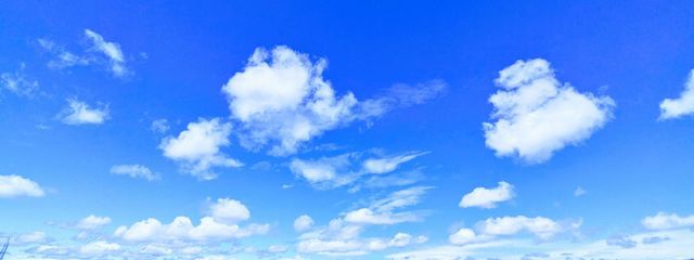 Renさんの壁紙画像