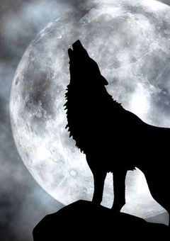 能力者人狼【 参加型 】