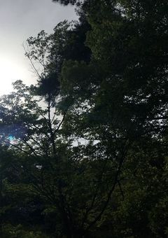 時期に夜は…明ける…？