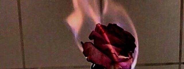 　　蛇羅さんの壁紙画像