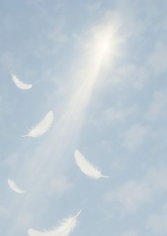 目の前にいる、存在しないはずの君