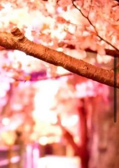 目を合わせれないんです!【実三兄者】