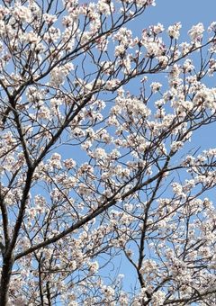 愛してるじゃ足りないもん！