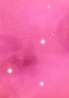 ˚.꒰配信部屋꒱.˚ Kureha’s Private Sky 準備中…